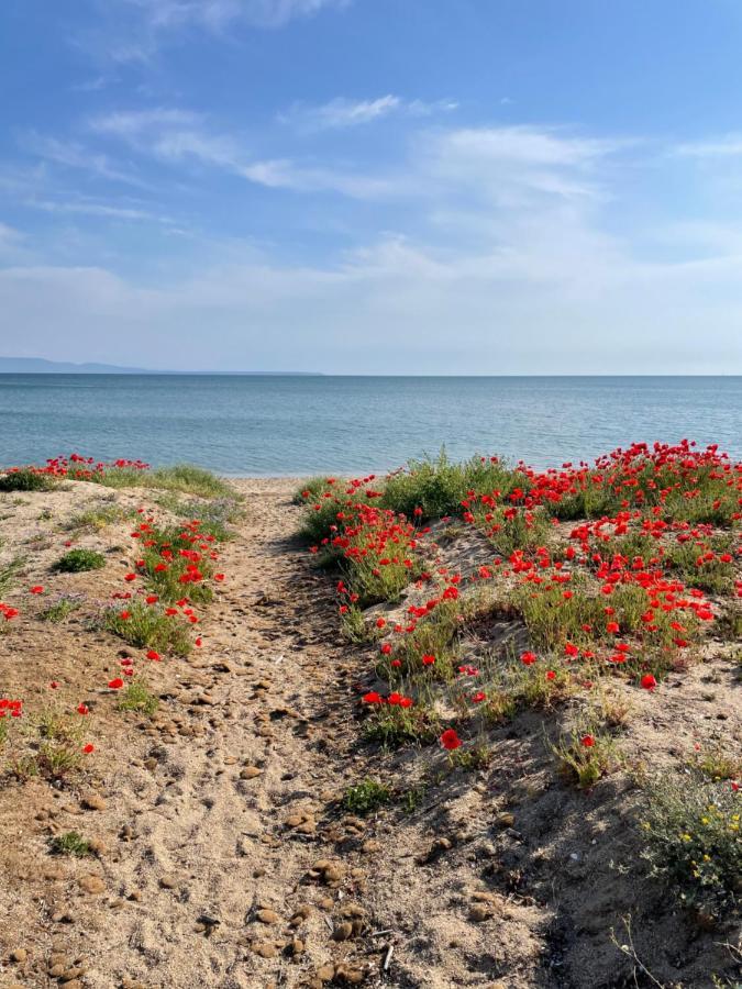 B&B Tre - Rooms & Relax Oristano Dış mekan fotoğraf
